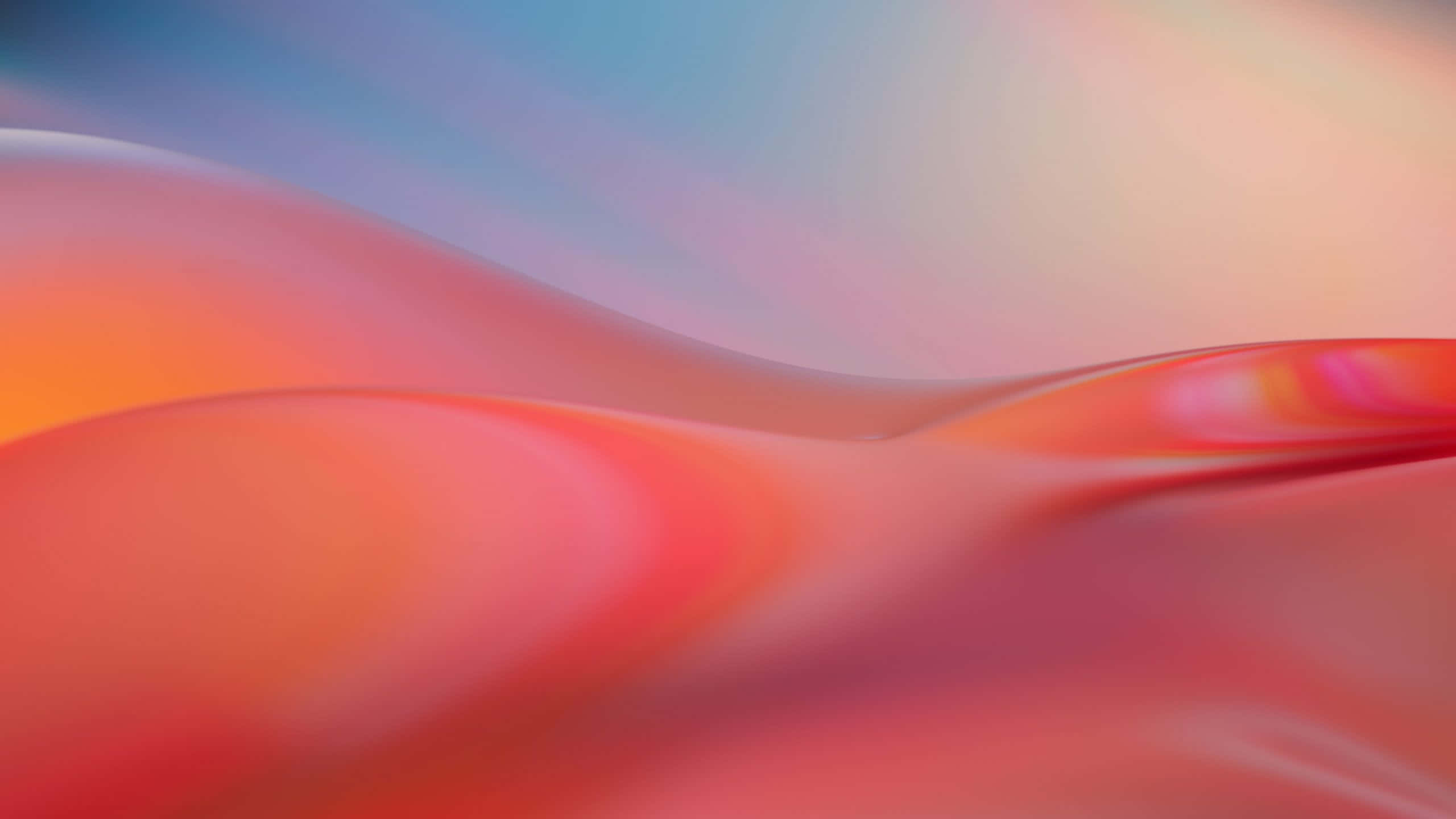 搭載 Windows 系統的電腦與預設桌面背景 壁紙 — 平滑流動的抽象波浪將溫暖的紅色和橙色與冷色調的藍色和粉紅色融合在柔和的漸變中。