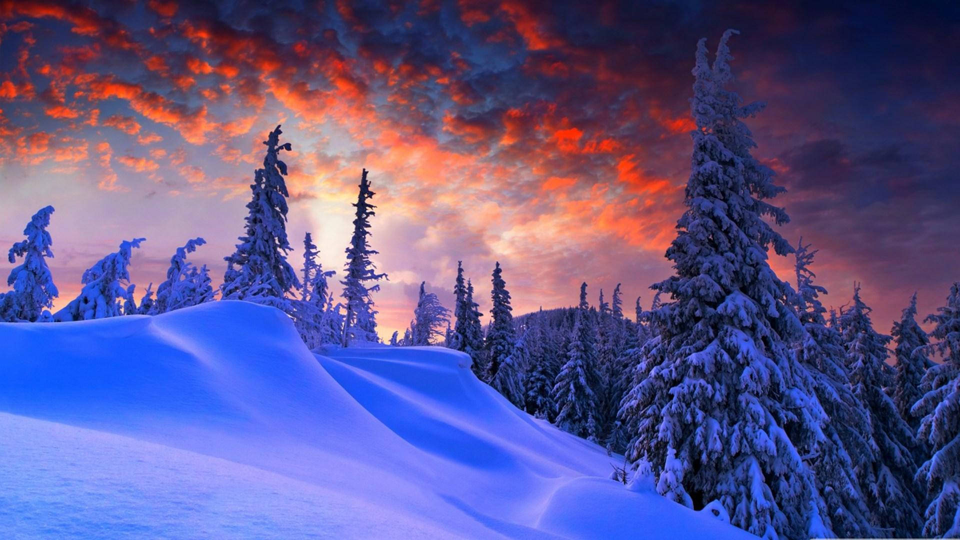 Windows 冬日與橙色天空 壁紙 — 積雪的松樹在火紅橙紫的日落天空襯托下形成剪影，下方是純淨的藍白色雪原。