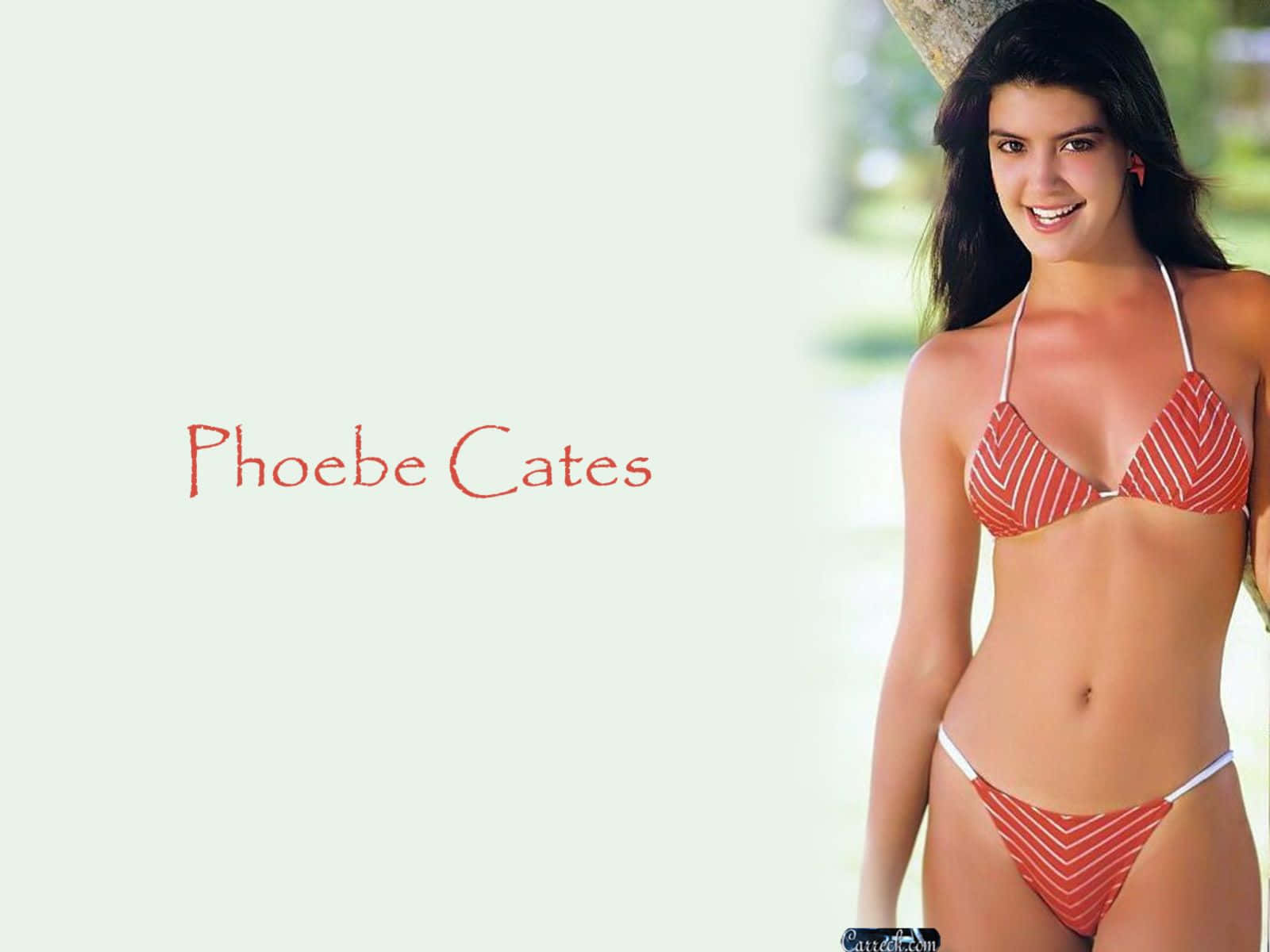 Phoebe Cates 桌布 壁紙 — 一位穿著紅白條紋比基尼的女性在明亮的戶外環境中靠著樹微笑。