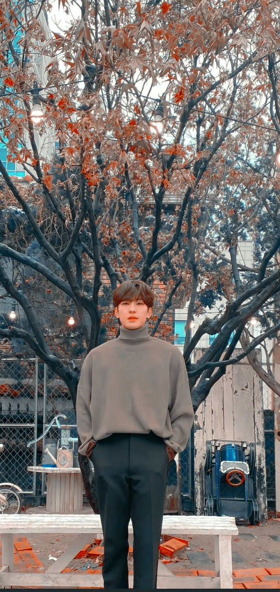 Wonwoo 全身照 壁紙 — 一位穿著灰色高領毛衣的年輕男子，在城市背景下，靜靜地站在一棵有秋葉的樹下。