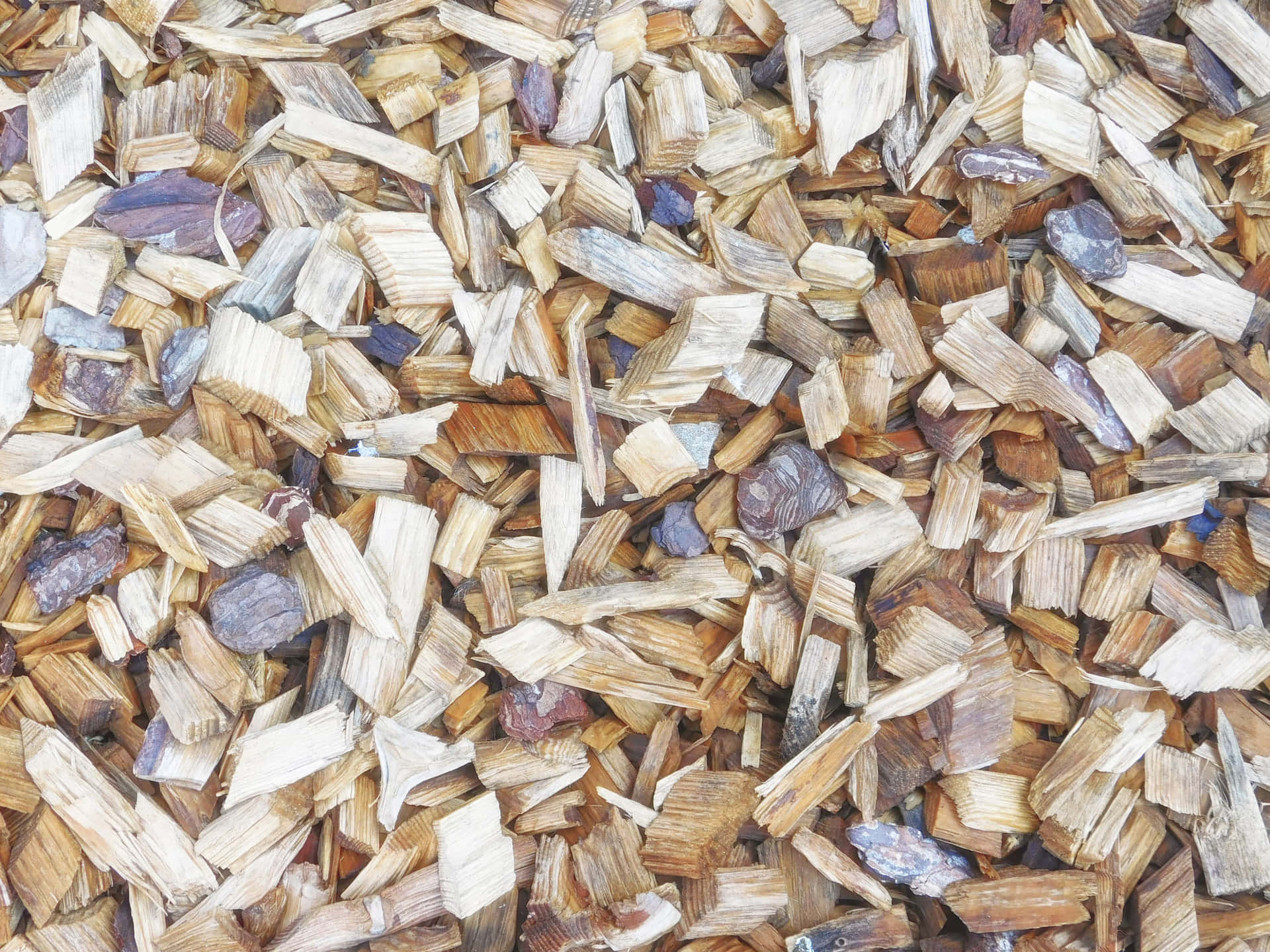 木屑和小石頭的特寫，形成自然地面覆蓋紋理。