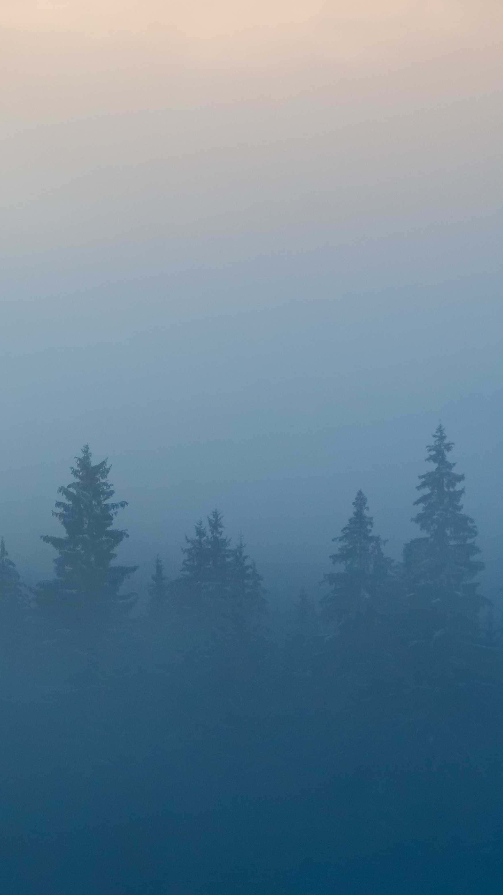 Minimalist Forest 桌布 壁紙 — 霧氣籠罩的山脊逐漸融入柔和的藍色薄霧中，前景有深色松樹剪影。