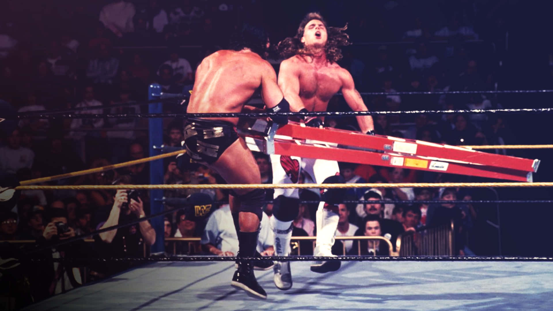 史考特·霍爾與肖恩·麥克爾的 WWE 擊戰畫面 壁紙 — 兩名肌肉發達的摔角手在擂台上用紅色梯子纏鬥，觀眾在場館燈光下緊張觀看。