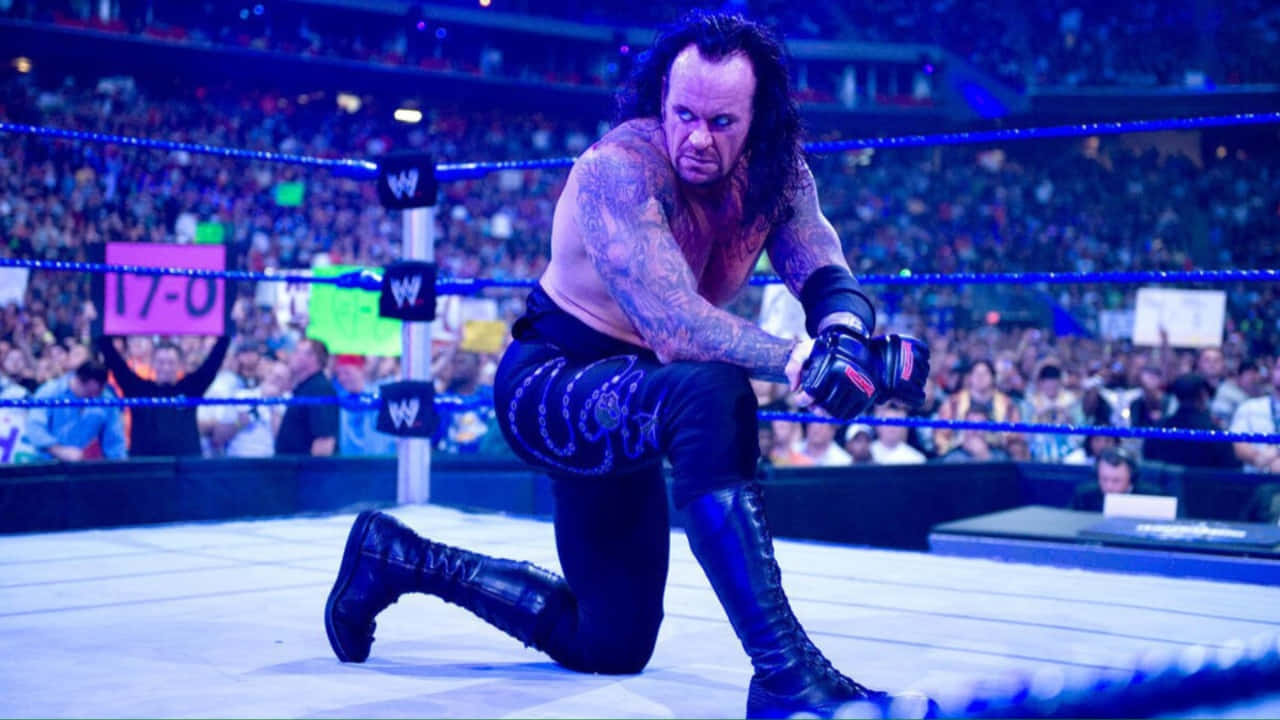 壁紙 — WWE摔角手The Undertaker在藍色燈光下跪在擂台上，身後有歡呼的人群。