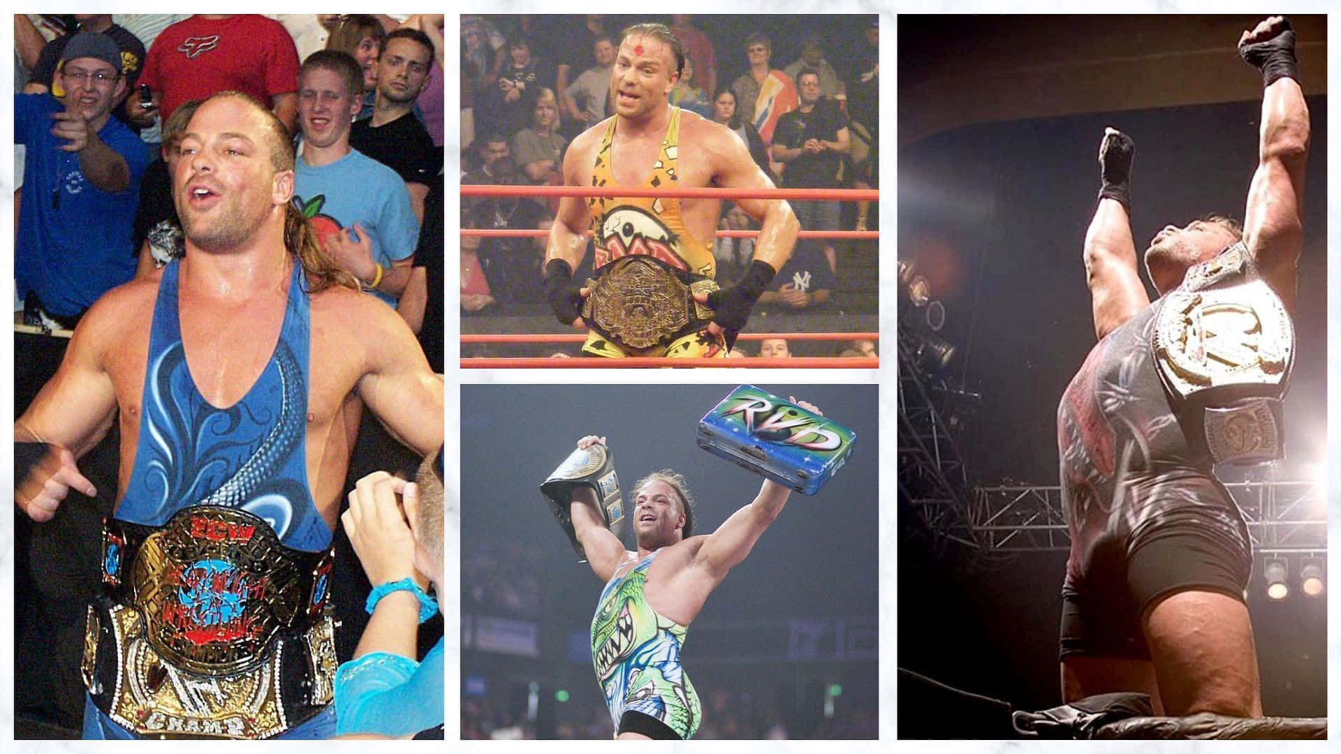 WWE 羅布·范·達姆拼貼照 壁紙 — 四張圖片的拼貼，展示一位肌肉發達的摔角手在擂台或人群中，以各種勝利姿勢舉起冠軍腰帶。
