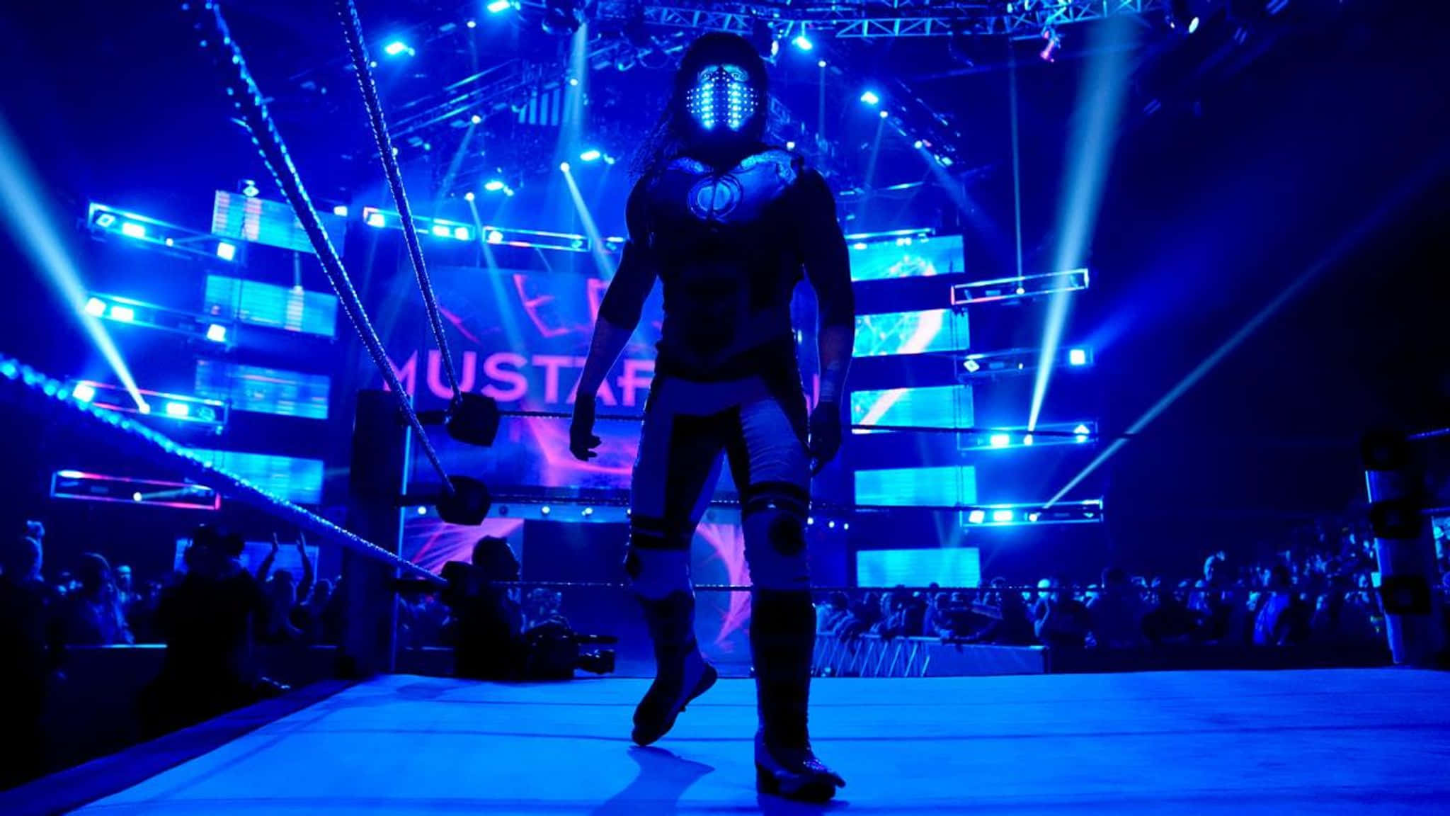 WWE 背景 壁紙