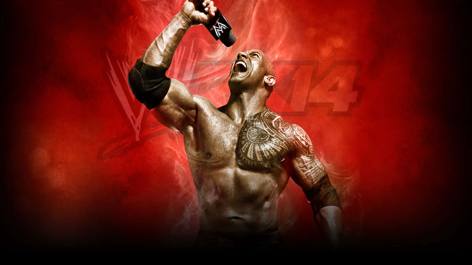 WWE 背景 壁紙