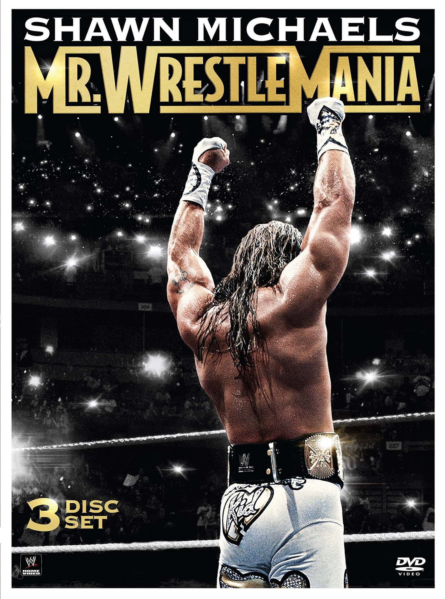 摔角手 Shawn Michaels 在擂台上高舉雙臂慶祝勝利。