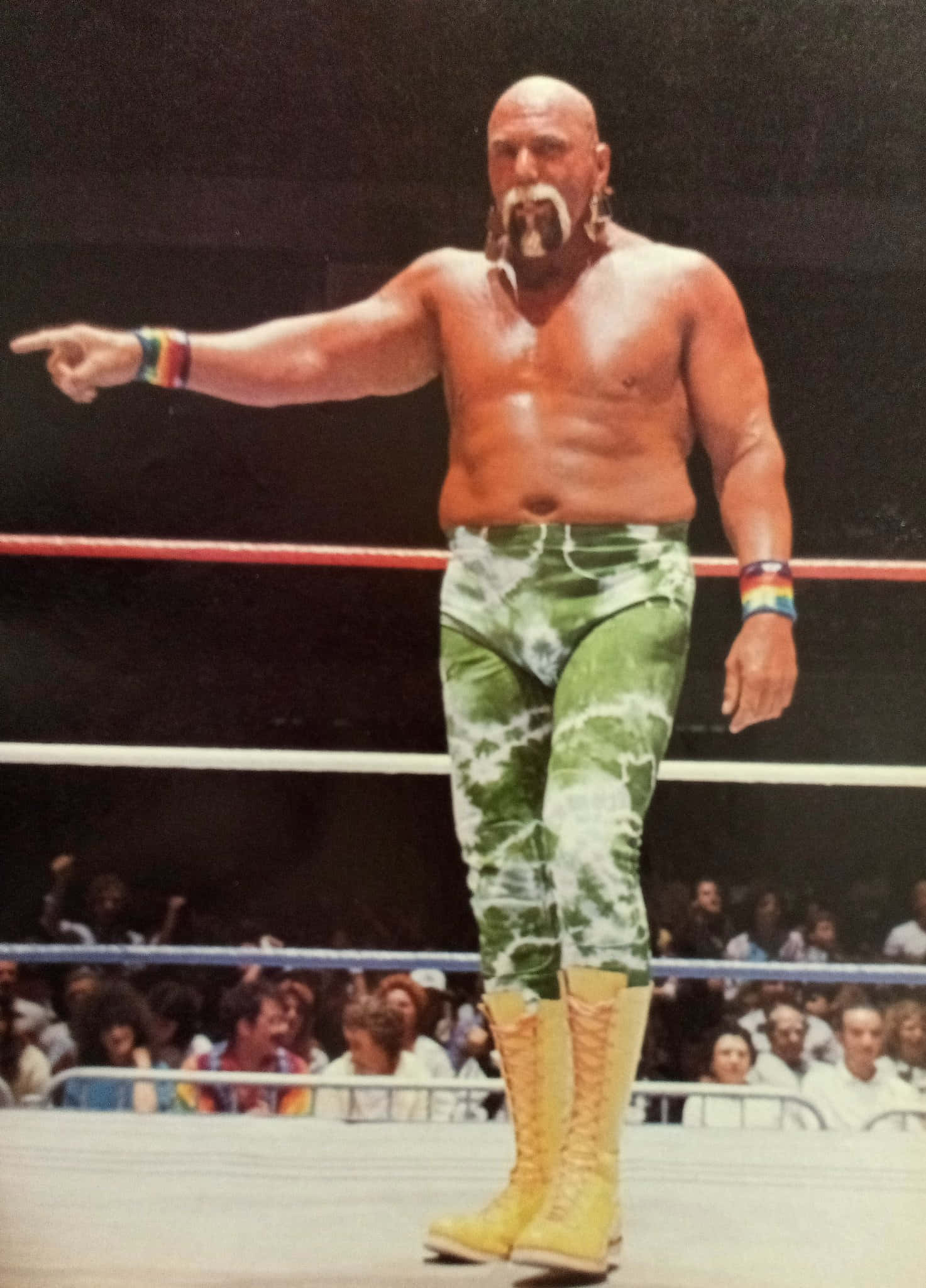 WWE戰士比利·格雷厄姆全身肖像照 壁紙 — 一位光頭、留著白色山羊鬍的摔角手，穿著綠色紮染褲和黃色靴子，在擂台上自信地指著，身後有歡呼的人群。