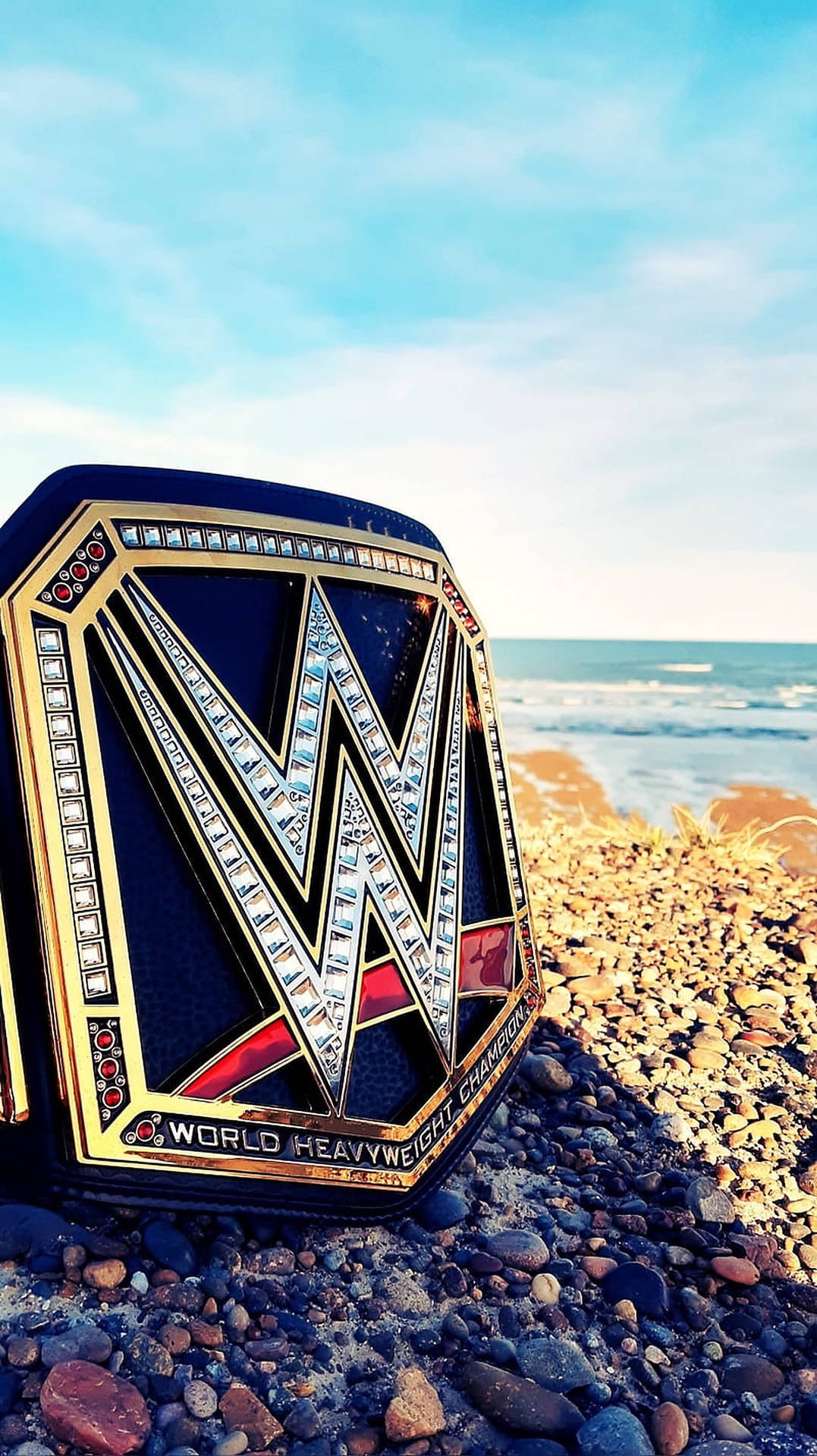 WWE世界重量級冠軍腰帶放在岩石海灘上，背景有海洋和天空。