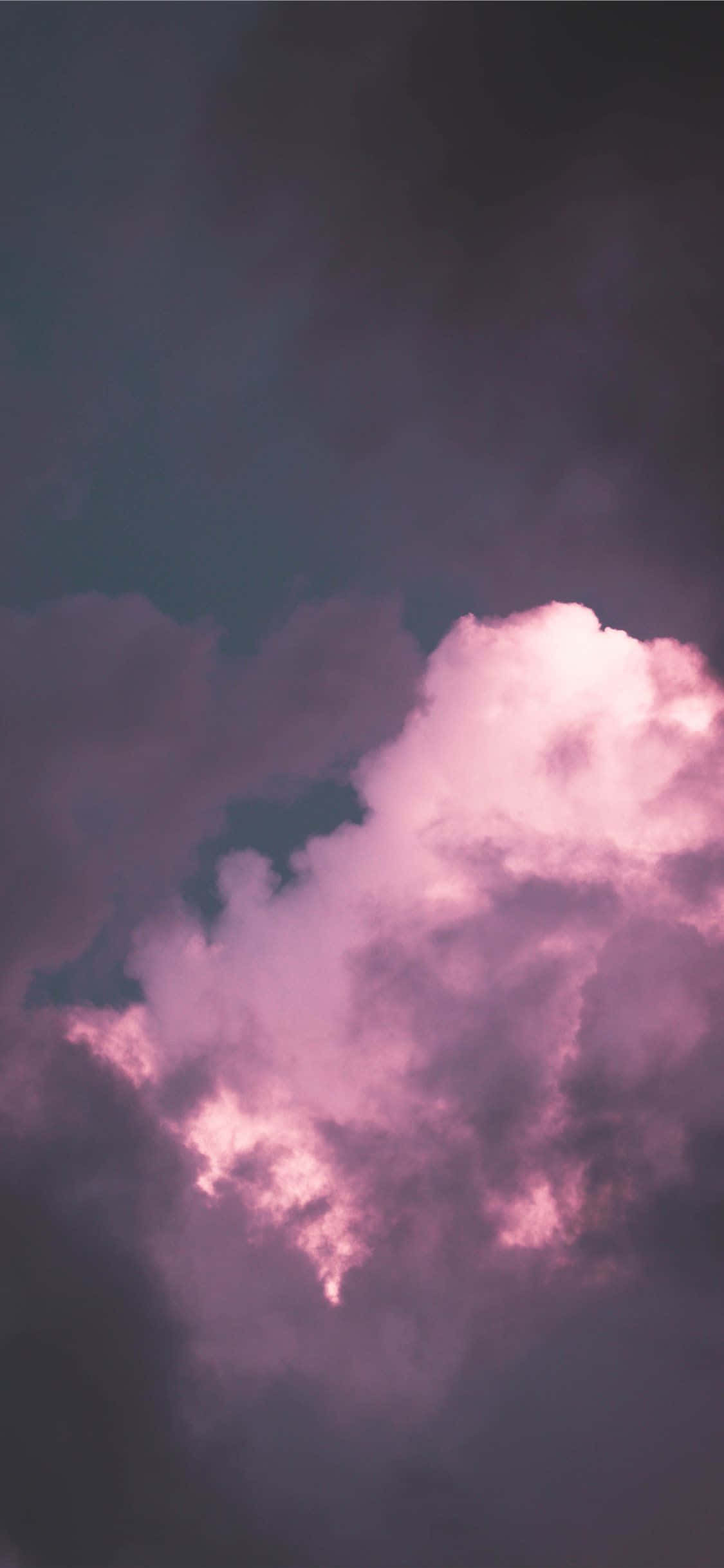 Pink Cloud 桌布 壁紙 — 戲劇性的天空，柔和的粉紅雲朵在深紫色暮色背景下發光。
