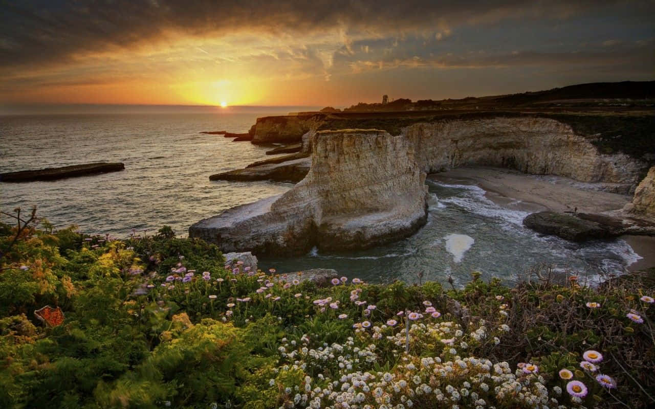Coastal Sunset 桌布 壁紙 — 夕陽將懸崖和大海染成金色，前景中野花盛開。