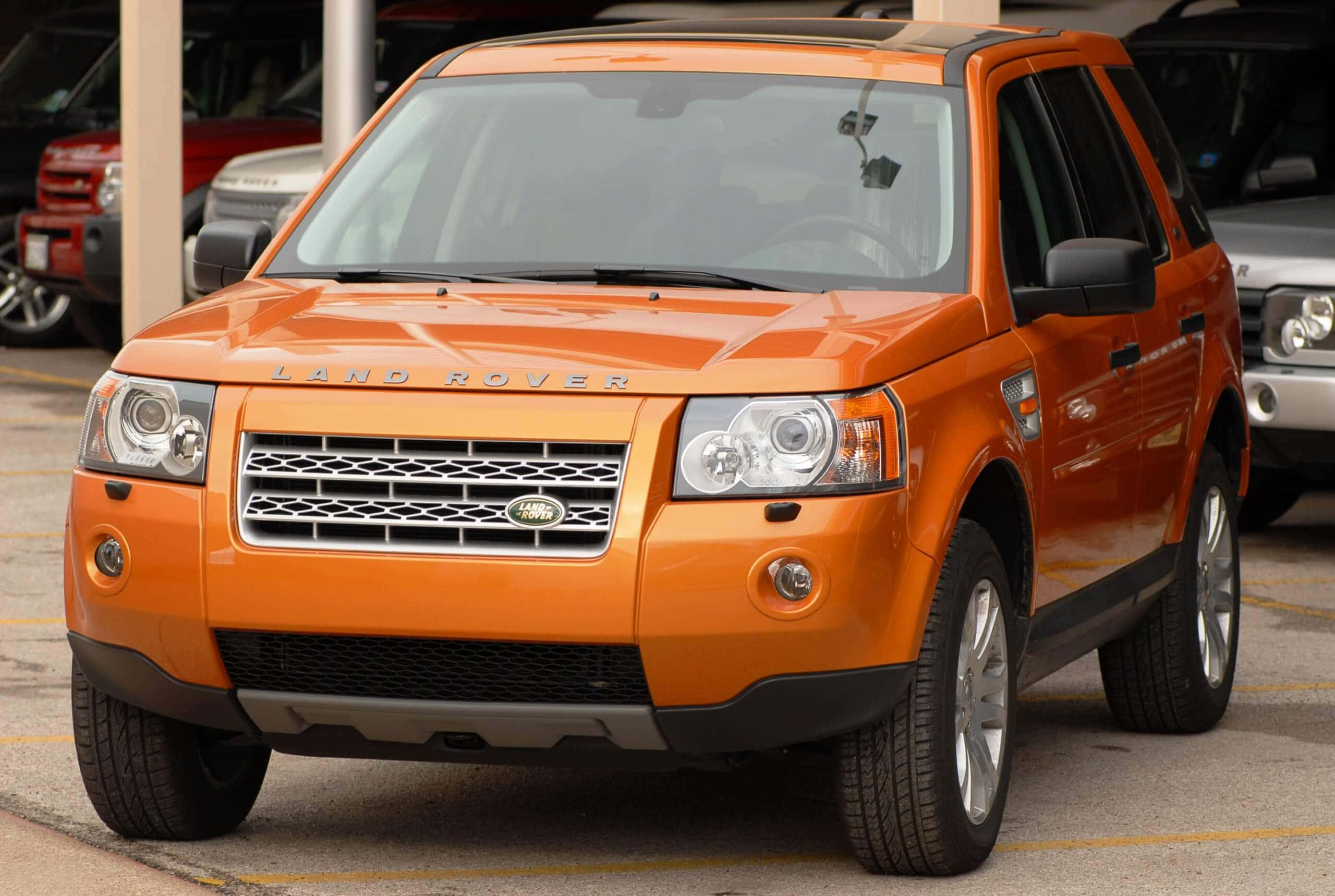 Land Rover Freelander 桌布 壁紙 — 一輛鮮橙色的 Land Rover Freelander 停泊在停車場，背景可見其他車輛。