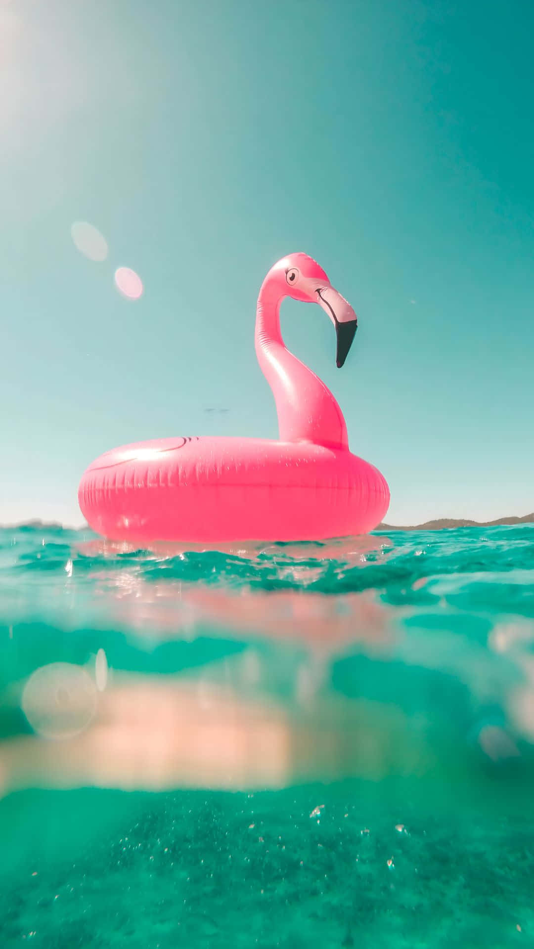  壁紙 — 一個鮮粉紅色火烈鳥浮圈在清澈藍天和陽光照射下，漂浮在藍綠色水面上。