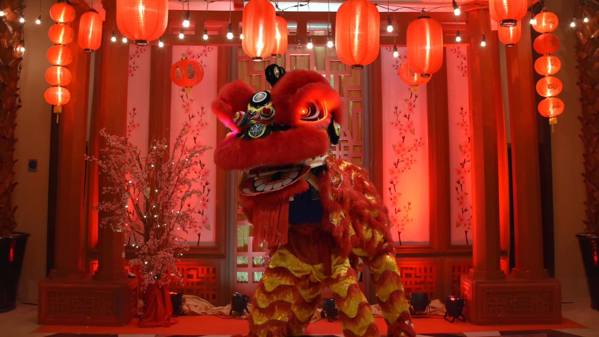  壁紙 — 鮮豔的紅金色舞獅服裝在發光的紙燈籠下，於節日室內環境中表演。