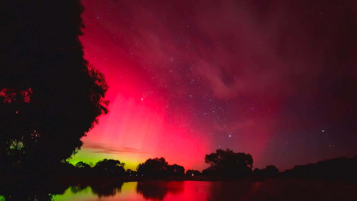  壁紙 — 鮮豔的紅色和綠色極光在繁星點點的夜空上舞動，倒映在平靜的湖面上，湖邊環繞著黑暗的樹木剪影。