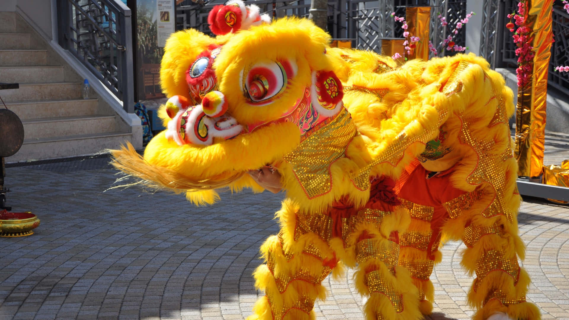  壁紙 — 一件鮮黃色帶紅色點綴的舞獅服裝，在明亮的日光下於鋪砌的廣場上表演。