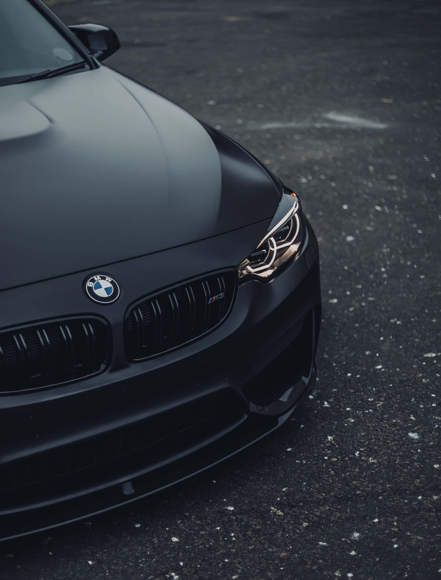 啞光黑色BMW M3跑車，金色頭燈，瀝青路面。