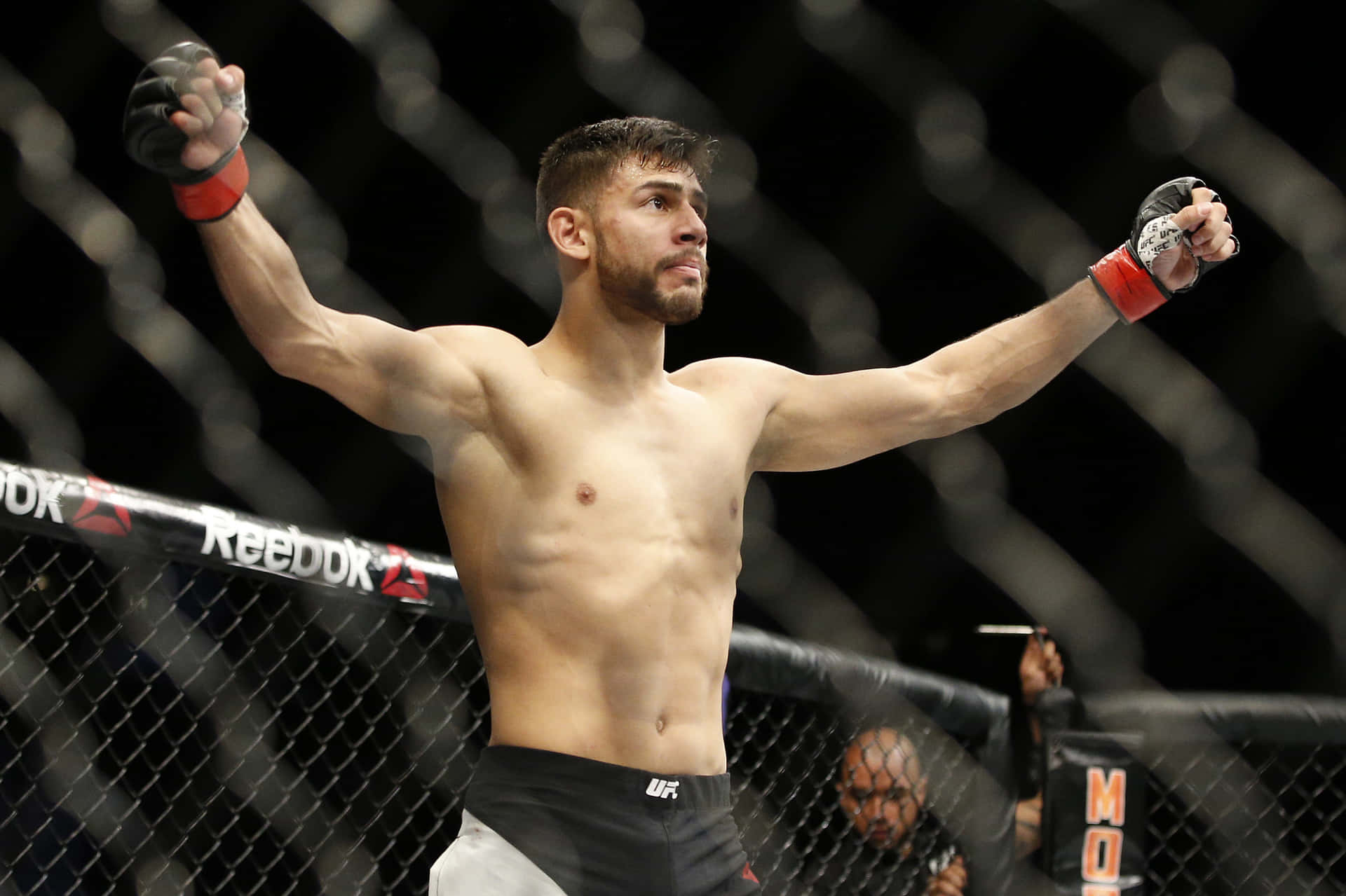 MMA拳手在八角籠中高舉雙臂慶祝勝利。