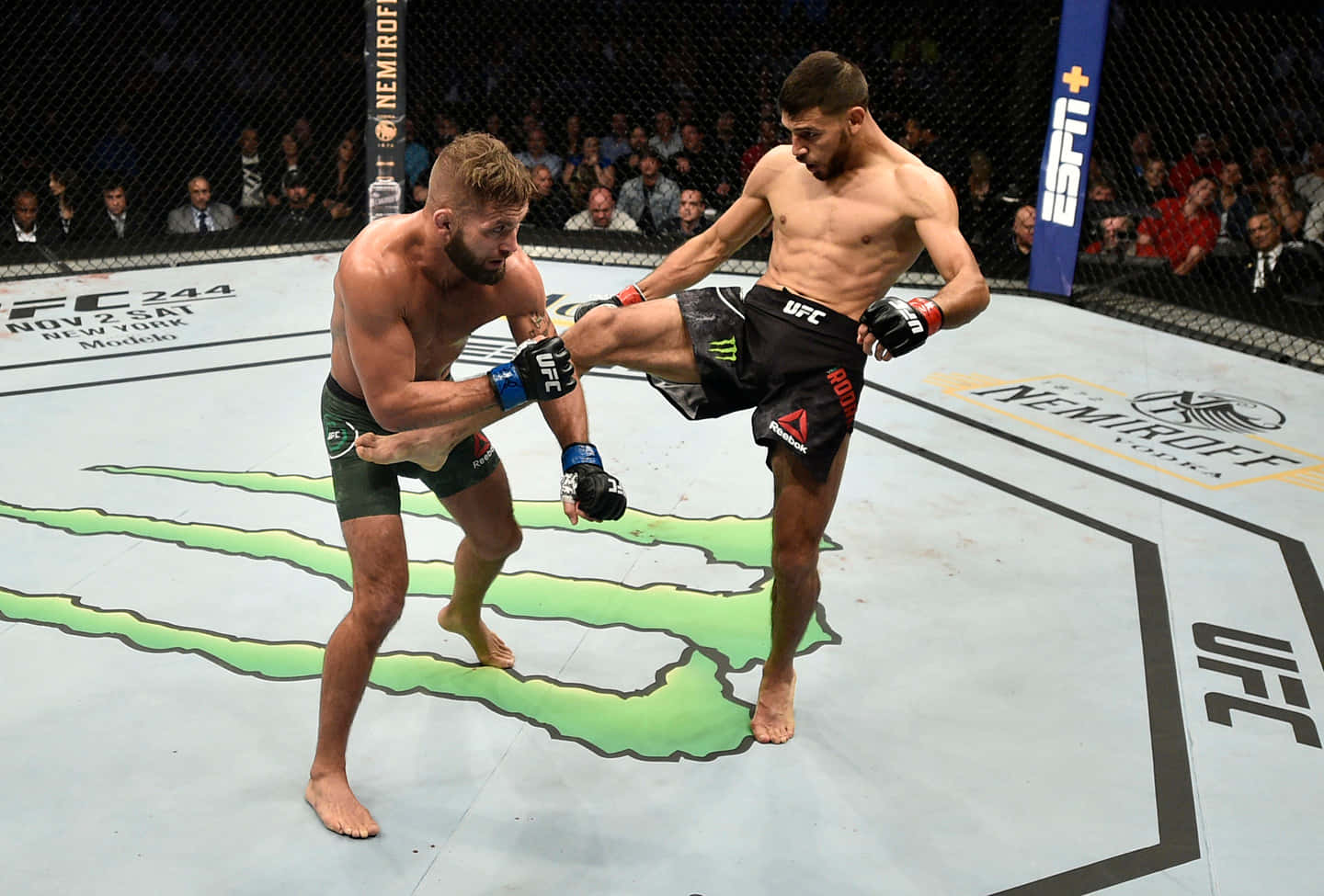 兩名男性MMA拳手在八角籠內的UFC比賽中行動。