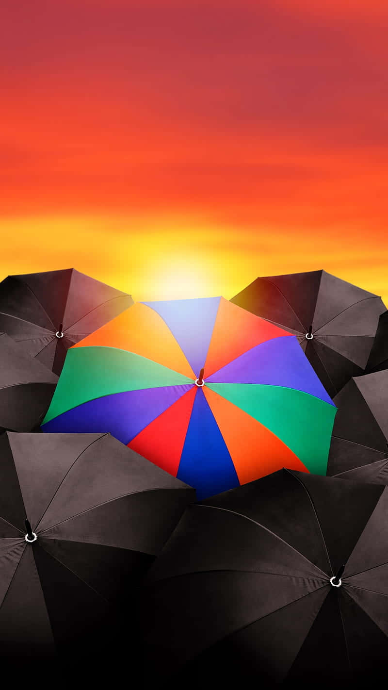  壁紙 — 一把鮮豔的彩虹傘在黑色雨傘中脫穎而出，背景是熾熱的日落天空。