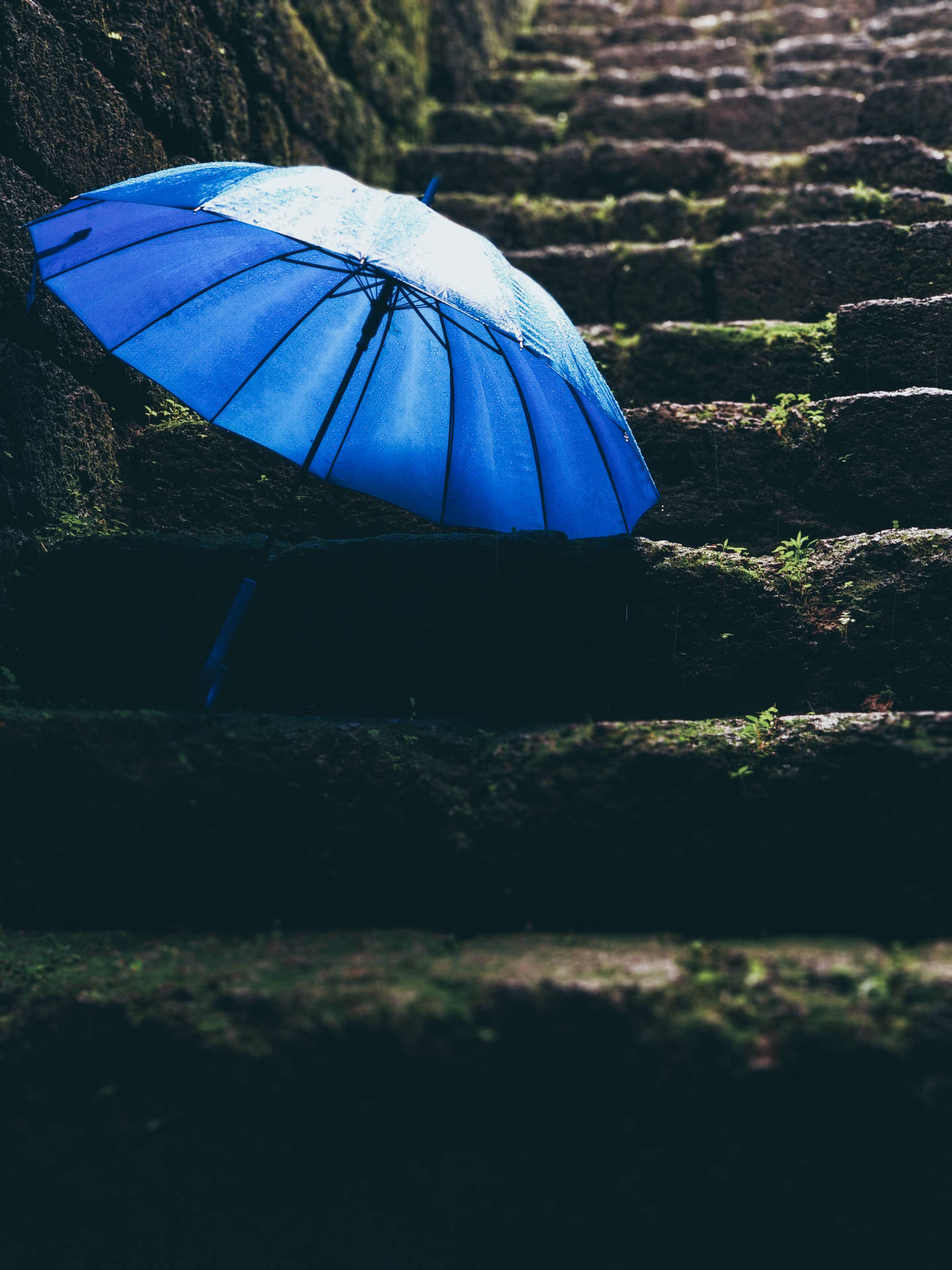 一把藍色雨傘被遺棄在長滿青苔的石階上，背景是下雨的場景。