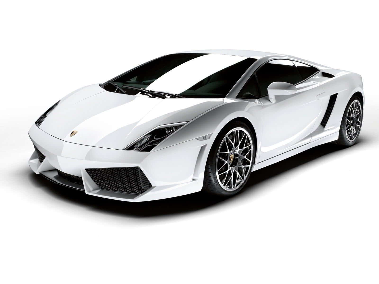 Lamborghini Gallardo 桌布 壁紙 — 一部純白色林寶堅尼Gallardo跑車，帶有黑色飾邊和合金輪圈，擺放在純白色背景前。