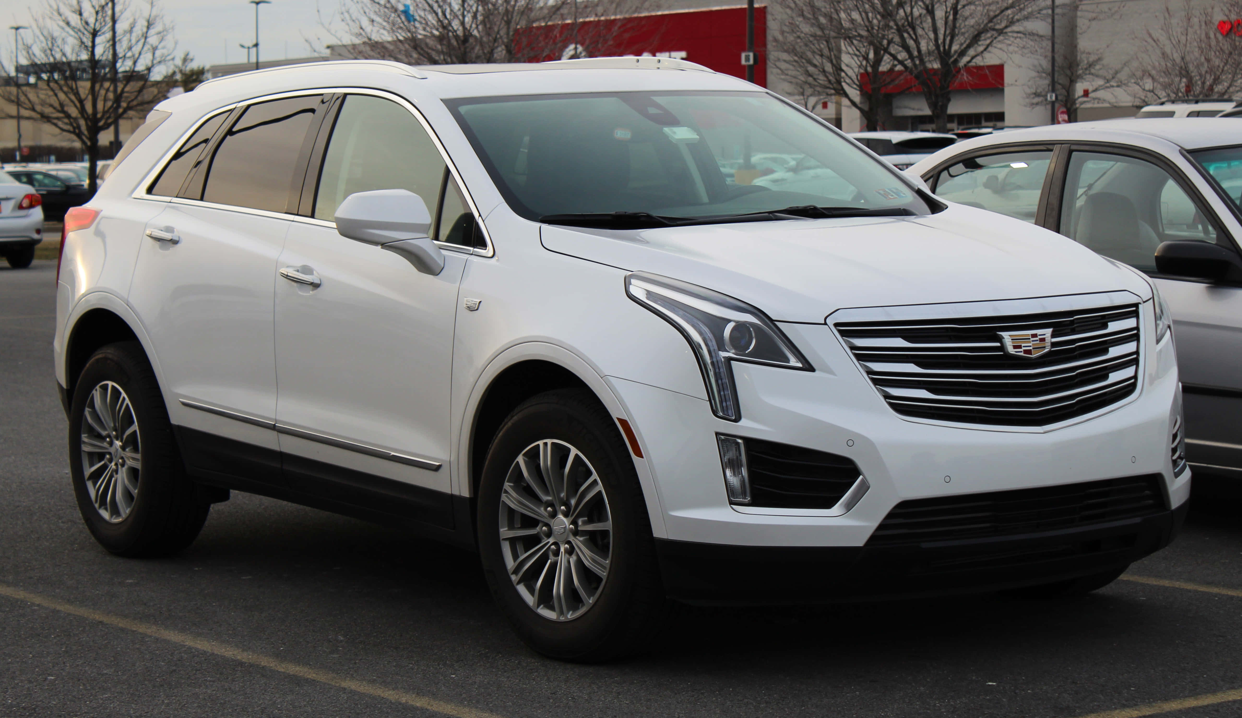 Cadillac Xt5 桌布 壁紙 — 一架純白色嘅 Cadillac XT5 SUV 泊喺一個有光禿禿嘅樹同陰天嘅停車場。