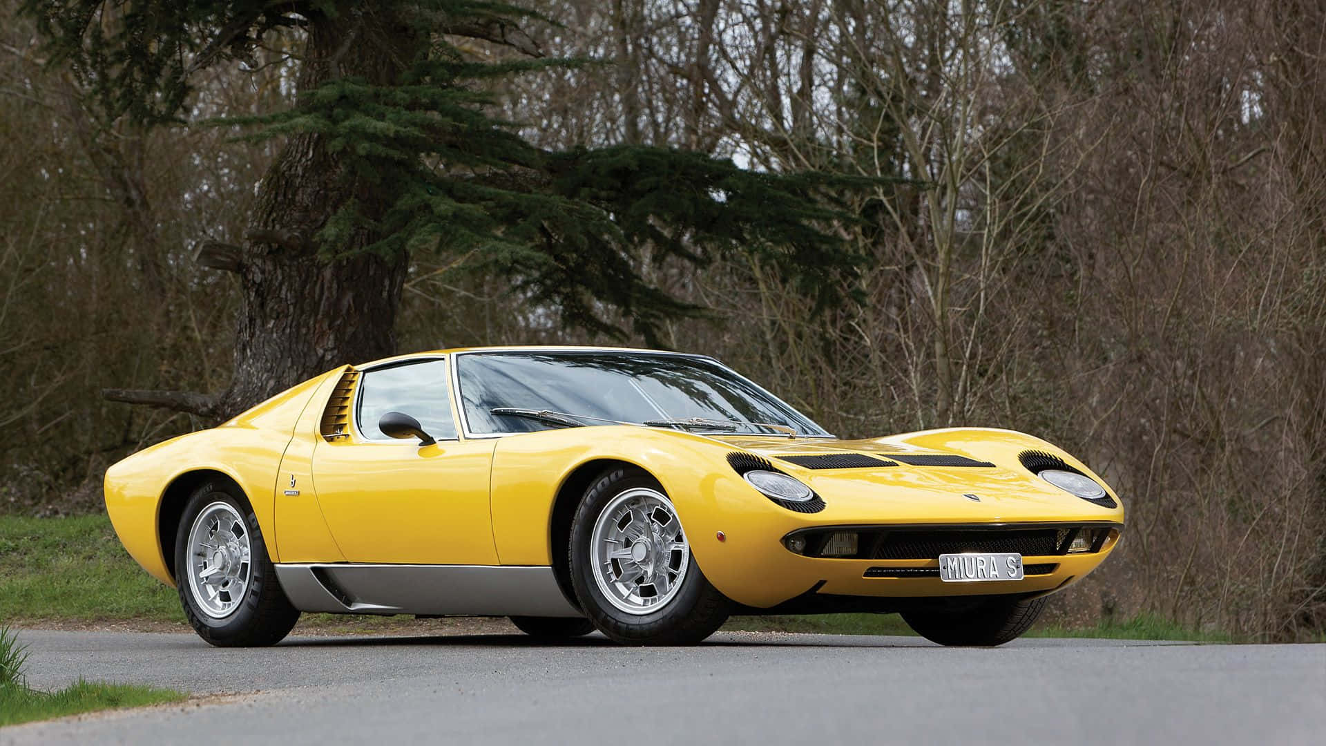 Lamborghini Miura 桌布 壁紙 — 一架鮮黃色的林寶堅尼Miura跑車停泊在路邊，旁邊是落葉樹和常綠樹。