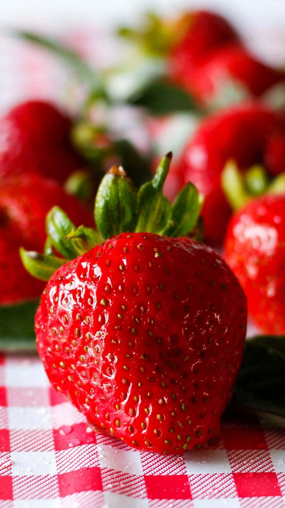 Red Strawberry 桌布 壁紙 — 一顆帶有綠色葉子的光澤紅色草莓，在紅白格子布上清晰對焦，背景有模糊的草莓。