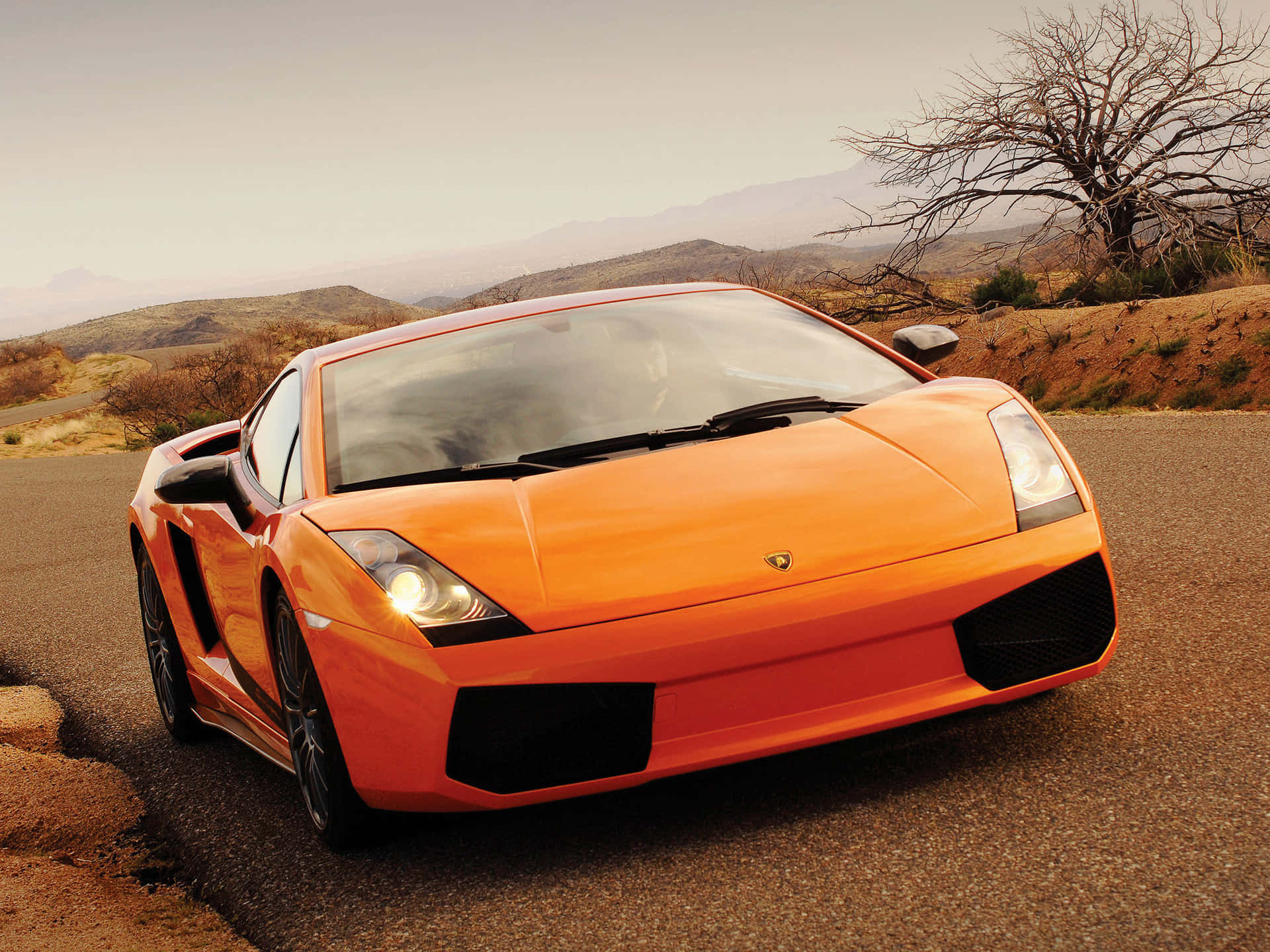 Lamborghini Gallardo 桌布 壁紙 — 一輛充滿活力的橙色林寶堅尼Gallardo跑車停在沙漠公路上，背景有山脈和一棵光禿禿的樹。