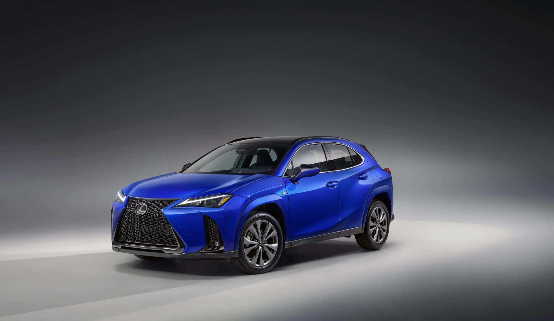  壁紙 — 一輛充滿活力的藍色 Lexus NX SUV 在工作室燈光下閃耀，背景為簡約灰色漸變。