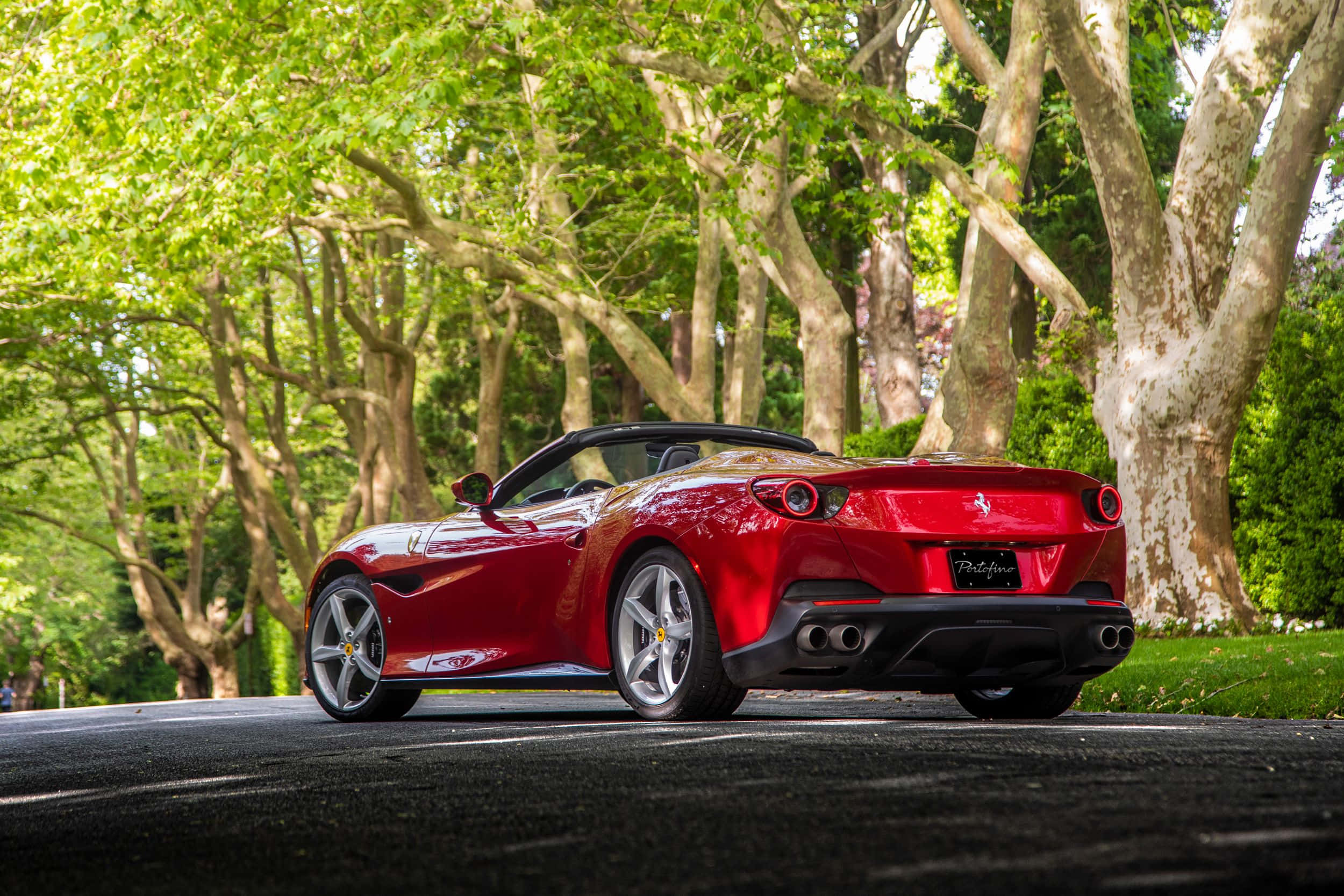 Ferrari Portofino 桌布 壁紙 — 一輛亮紅色法拉利Portofino開篷車停泊在林蔭大道上，上方是明亮的綠色樹冠。