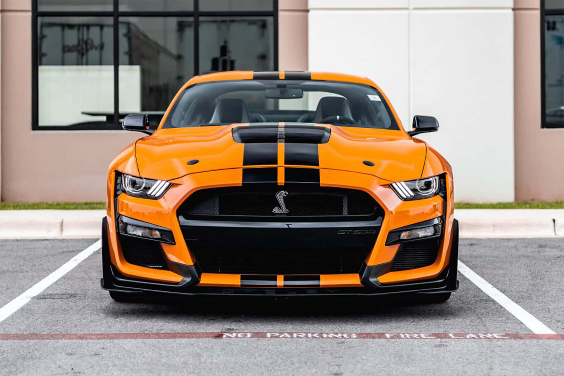  壁紙 — 一輛鮮橙色的福特野馬Shelby GT500，帶有黑色賽車條紋，停放在標記的消防通道上。