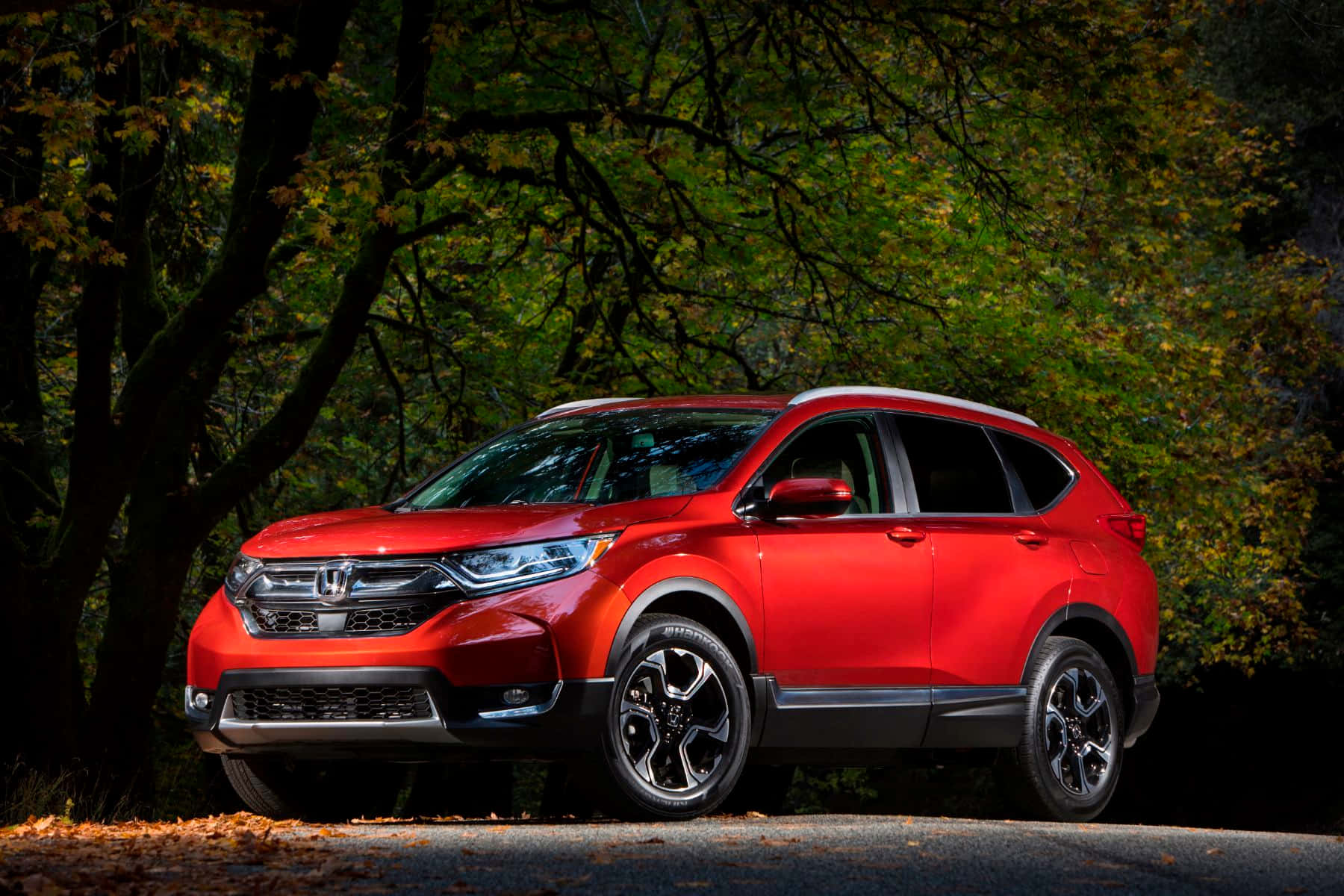 Honda Cr-v 桌布 壁紙 — 一輛鮮紅色的本田CR-V SUV停泊在森林道路上，周圍是金黃葉子的秋樹。