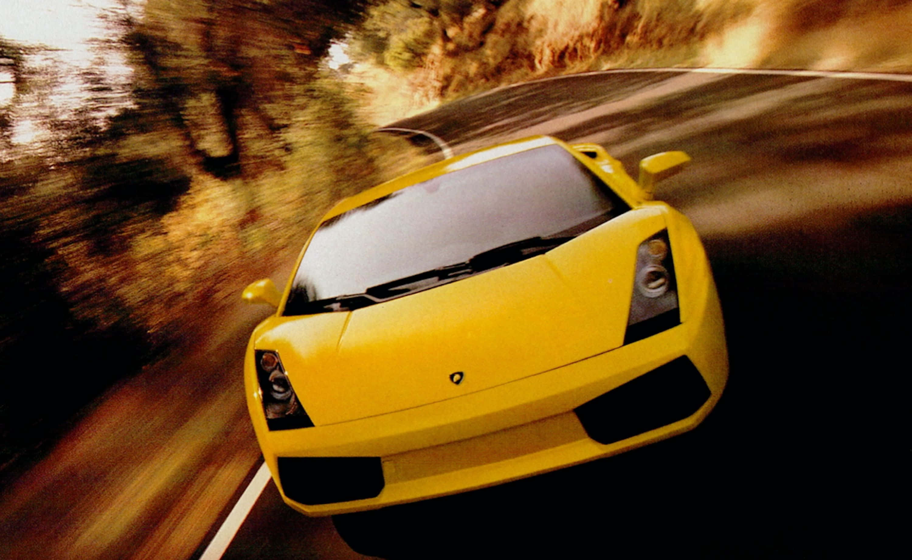 Lamborghini Gallardo 桌布 壁紙 — 一輛鮮黃色的林寶堅尼在蜿蜒的森林道路上疾馳，周圍帶有動態模糊效果。