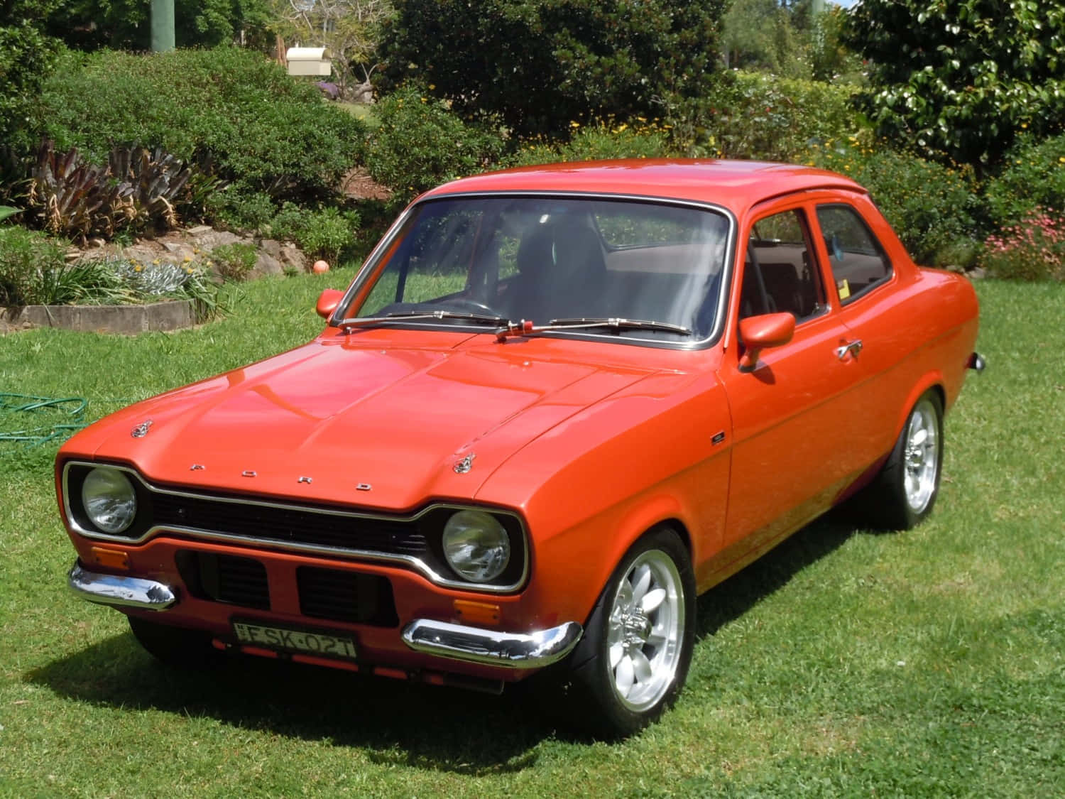 Ford Escort 桌布 壁紙 — 一輛充滿活力的橙色經典福特Escort雙門轎跑車在明亮的陽光下，在茂密綠草如茵的草坪上閃閃發光，周圍環繞著茂密的樹葉。