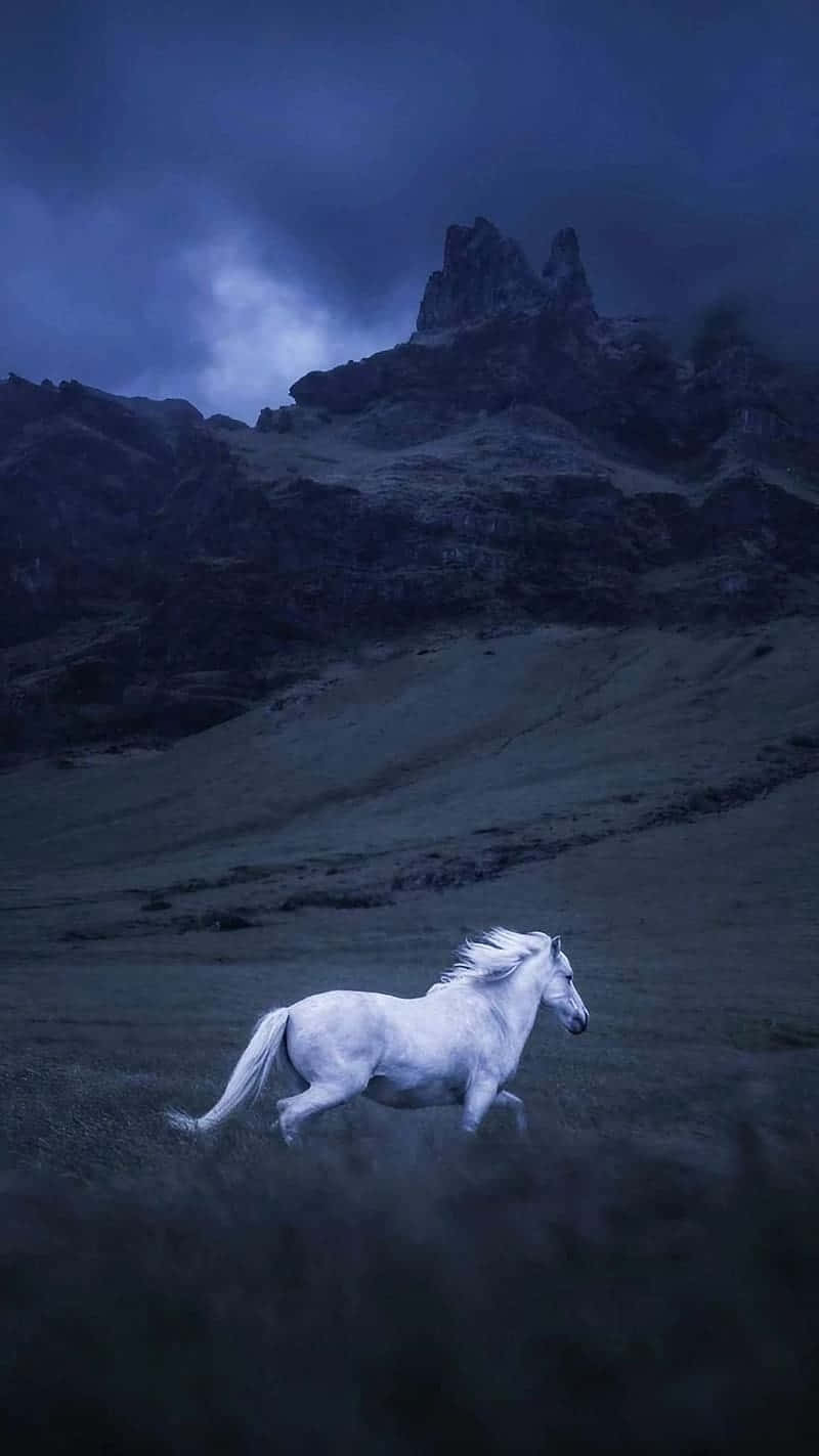  壁紙 — 一匹雄偉的白馬在霧氣瀰漫的山間草地上奔騰，背景是風雨欲來的暮色天空。