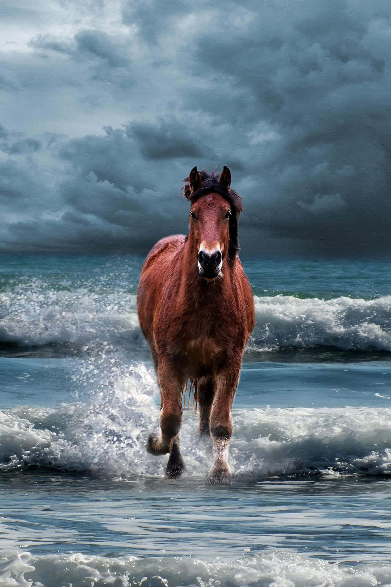  壁紙 — 一匹強壯的栗色馬在戲劇性的暴風雨天空下奔騰穿過海浪。