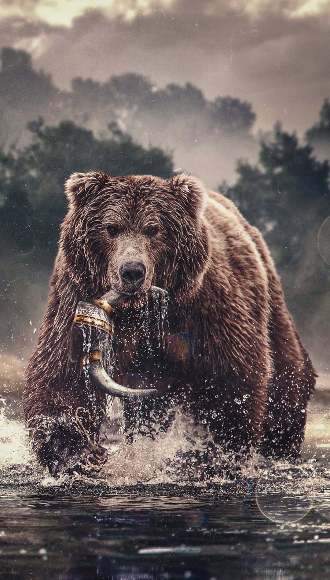  壁紙 — 一頭強壯的棕熊從渾水中浮現，嘴裡叼著一個大型有角動物頭骨。
