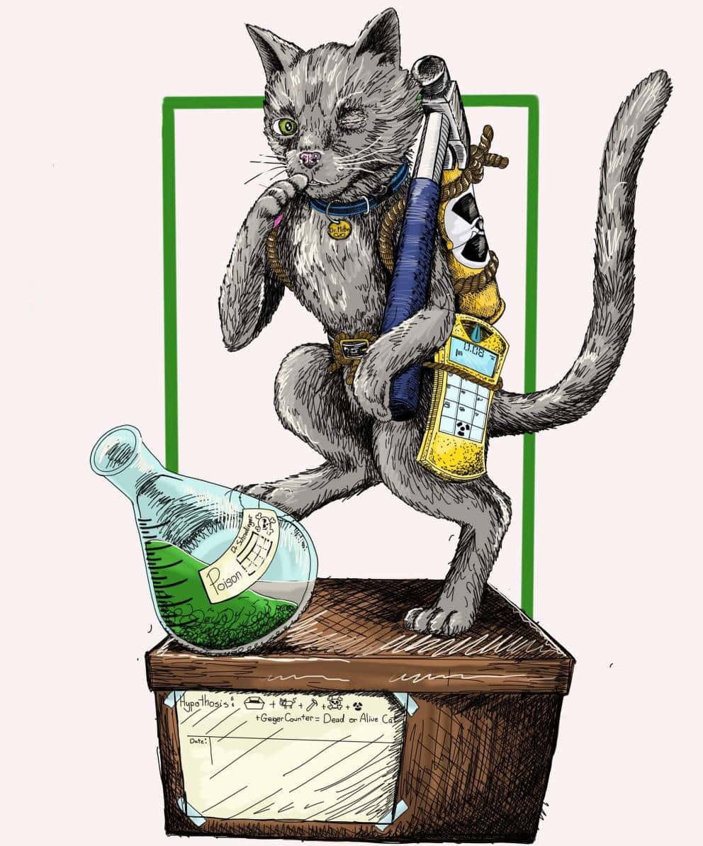  壁紙 — 一隻灰色貓咪穿著實驗袍，站在木箱上，旁邊有一個裝著綠色毒藥的燒杯，牠手持注射器。