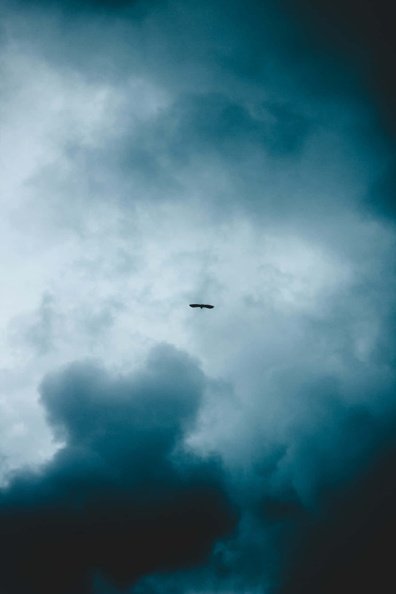  壁紙 — 一隻孤鳥翱翔於廣闊、陰鬱的天空，天空充滿了旋轉的藍綠色和灰色雲彩。