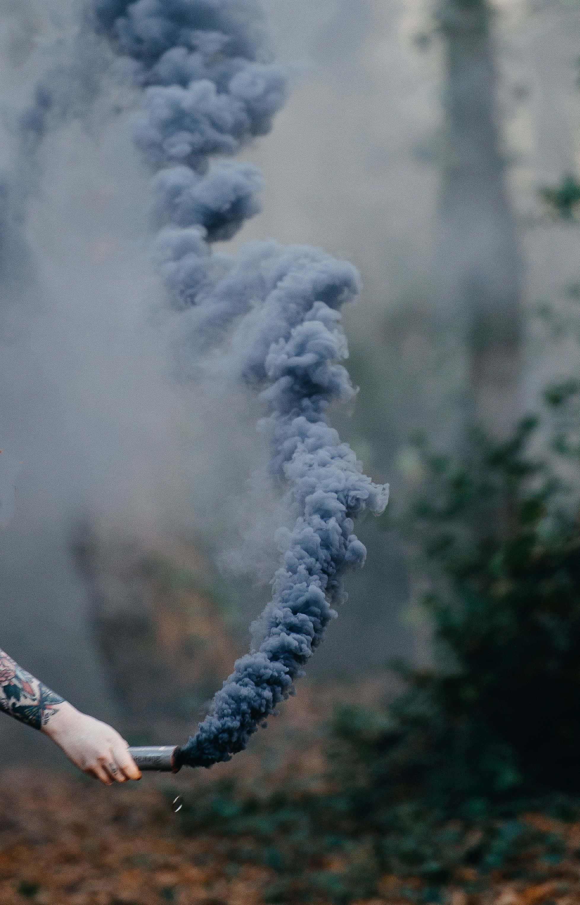 Smoke Blue 桌布 壁紙 — 一隻有紋身的手在霧氣瀰漫的森林空地中釋放出一團濃密的藍色煙霧。