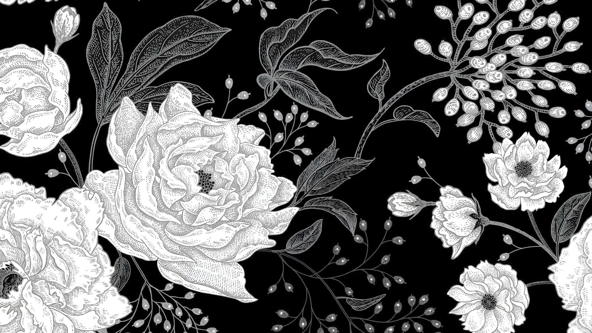  壁紙 — 優雅嘅白色花卉插圖，以精細線條繪製嘅花朵，襯托喺純黑色背景上。