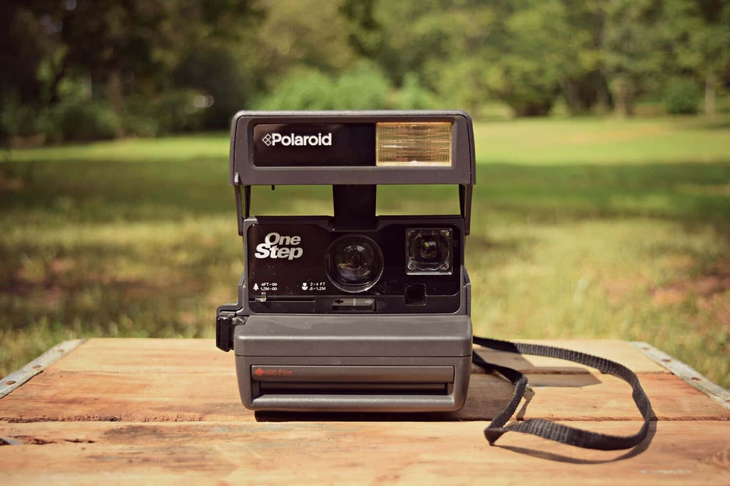  壁紙 — 一部復古Polaroid One Step相機放置在陽光普照的草地上的一張風化木桌中央。