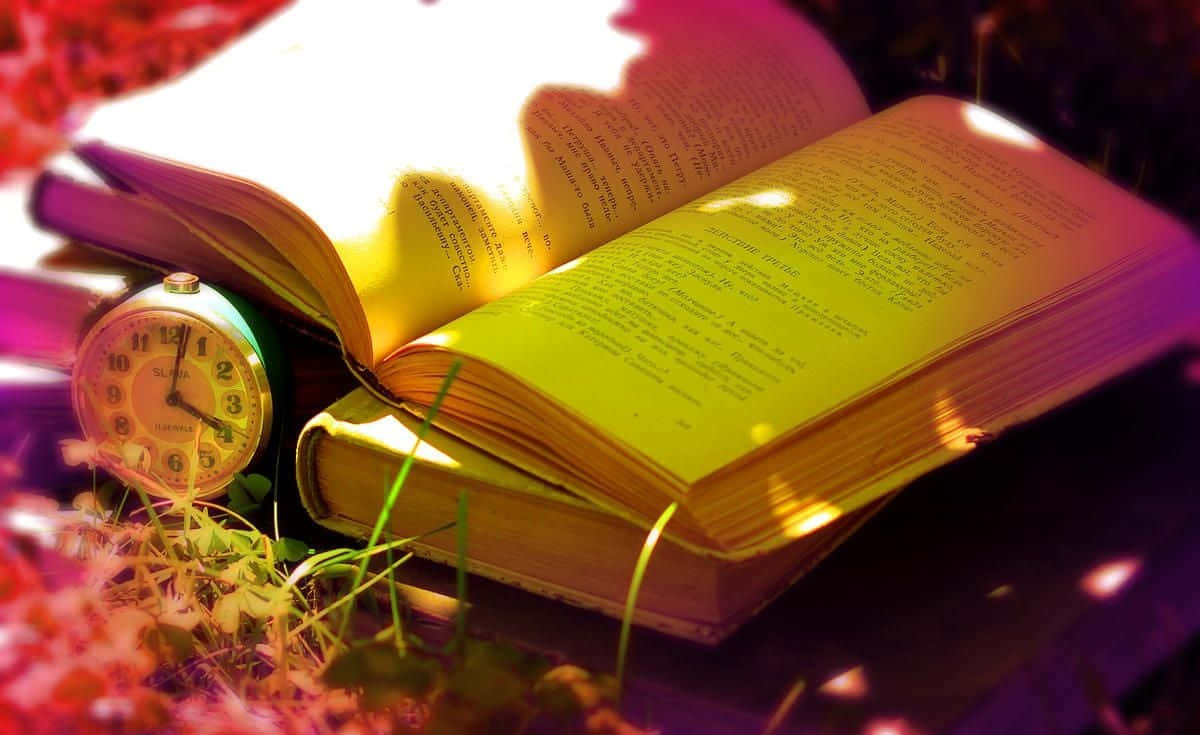 陽光下，草地上和花朵上放著一本打開的書和一個鬧鐘。