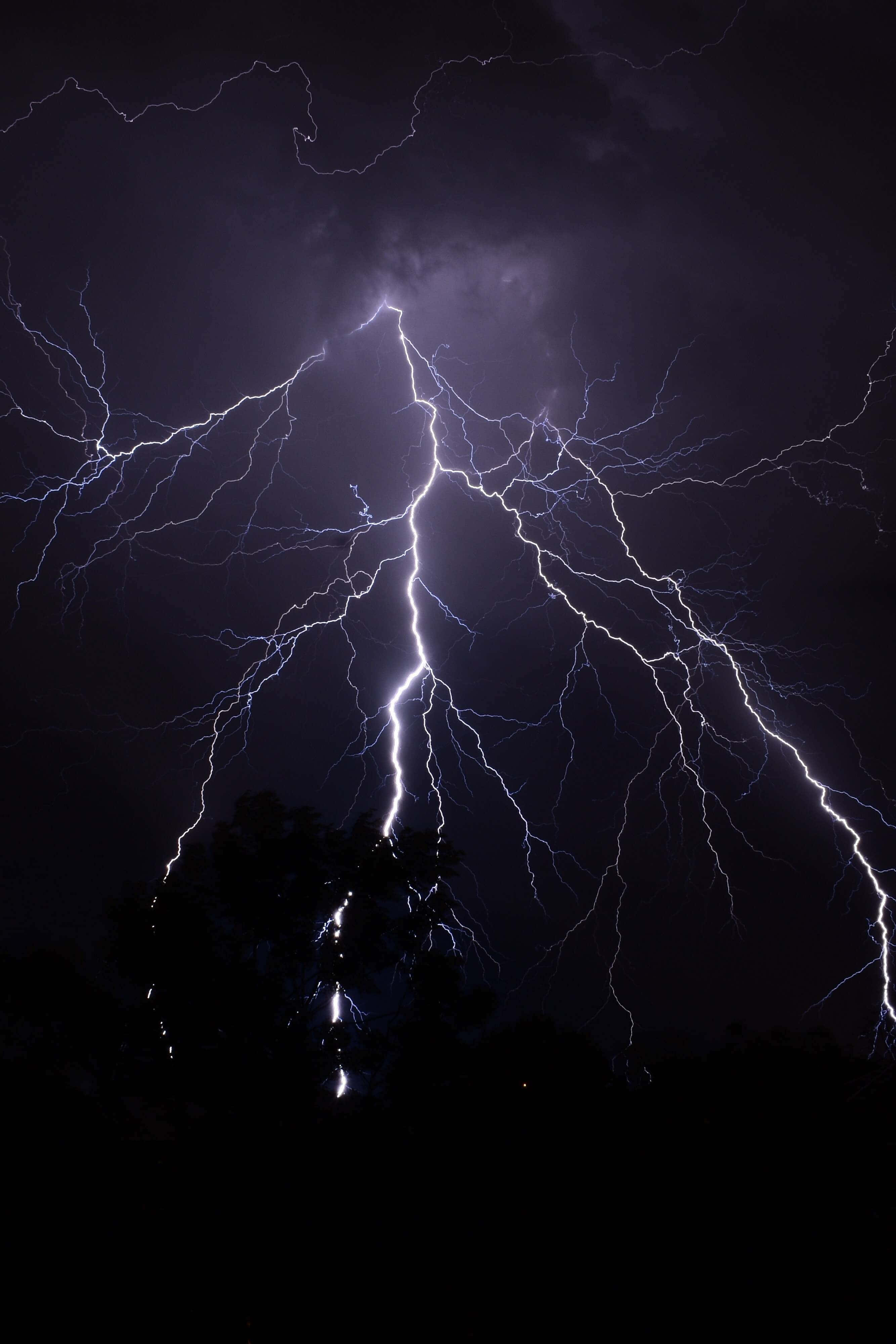 Lightning iPhone 桌布 壁紙 — 一道強大的閃電在黑暗的暴風雨天空中分叉，照亮了下方樹梢的輪廓。
