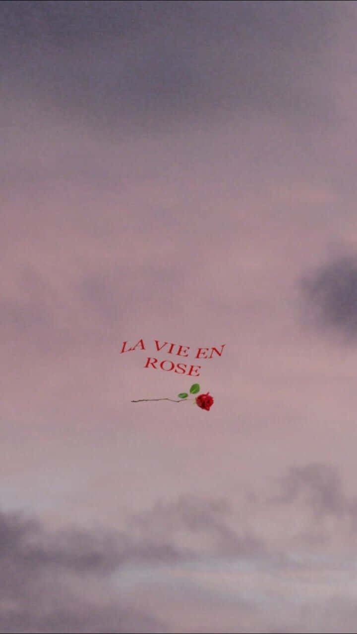Lo Fi Aesthetic 桌布 壁紙 — 一朵帶綠葉的紅玫瑰在柔和的粉紅和灰色暮色天空中飄浮，並附有文字 la vie en rose。