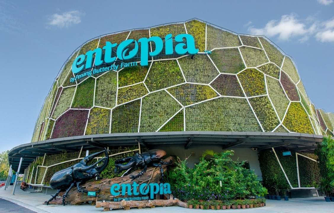  壁紙 — 一棟充滿活力的綠色牆壁建築，帶有 'entopia' 標誌和巨型甲蟲雕像，在清澈的藍天下。