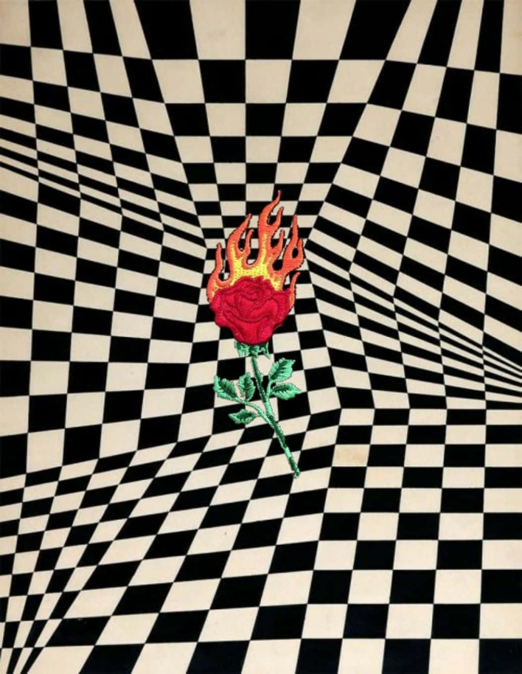  壁紙 — 一朵火紅的玫瑰，帶有綠色莖，位於扭曲的黑白棋盤格地板中央，營造出視覺錯覺。